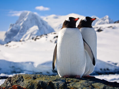 Средняя температура -61 °С. В Антарктиде зафиксировали рекордно холодную зиму