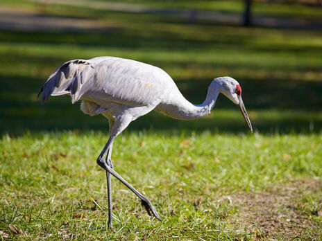 Возле заповедника 