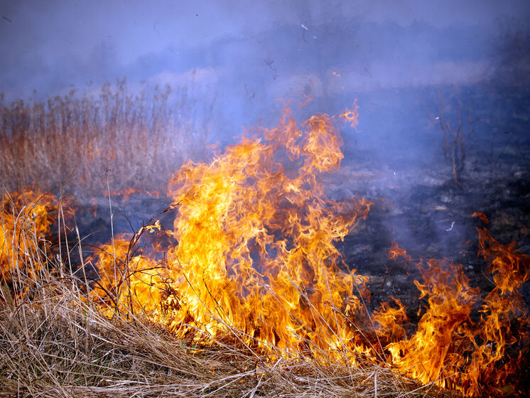 У Рівненській області рятувальники гасять пожежу на болотах за допомогою квадрокоптерів