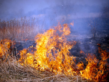 В Ровенской области спасатели тушат пожар на болотах с помощью квадрокоптеров