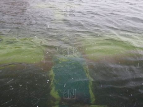 В России самолет Як-52 упал в реку после Парада памяти в Самаре