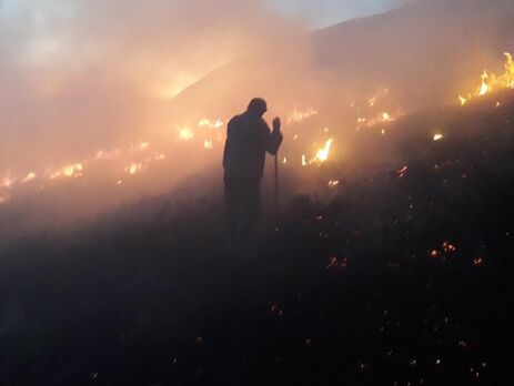Пожежу в Карпатах гасило понад 100 рятувальників та лісників