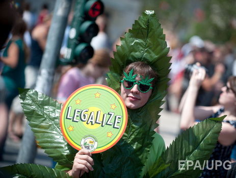 Девять штатов США сегодня проводят референдум о легализации марихуаны