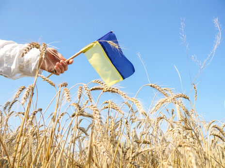 Почти 80% украинцев считают родным языком украинский – опрос