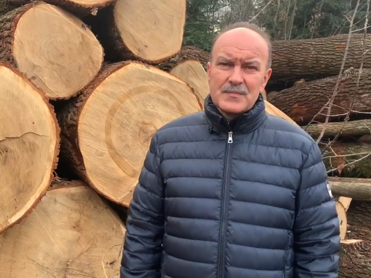Нардеп Цимбалюк: Існує ініціатива дозволити вивозити з України ліс-кругляк. Ми будемо боротися, щоб ліси належали громаді