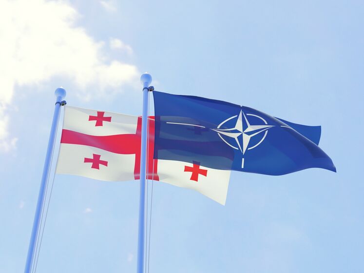 У МЗС Грузії відреагували на вимогу РФ відкликати обіцянку про членство в НАТО для двох країн