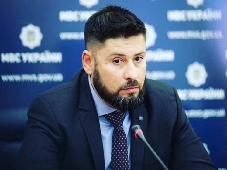 Бывший замглавы МВД Гогилашвили попал в базу 