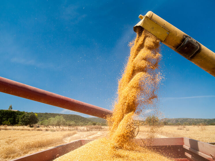 НАБУ сообщило о разоблачении девяти человек на "зерновой схеме" и разворовывании почти 160 млн грн бюджетных средств
