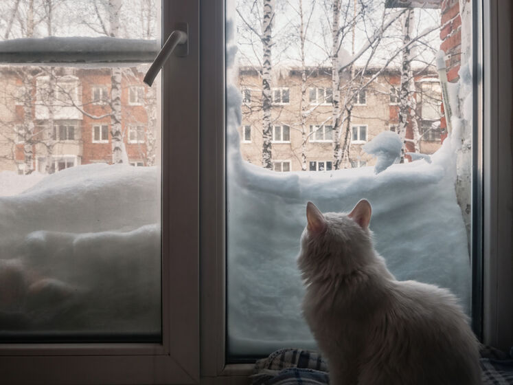 В Якутии более 78 тыс. человек остались без электроэнергии при температуре -50 °С