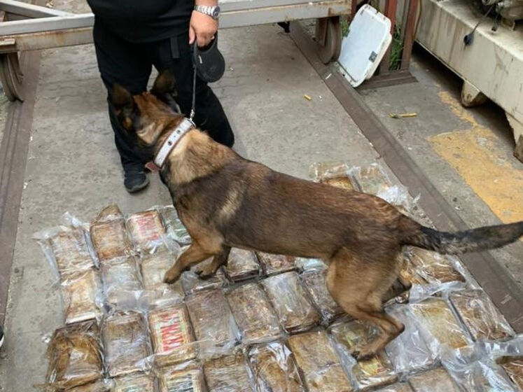 Нашли в контейнерах с бананами. Одесская прокуратура завершила расследование о контрабанде 80 кг кокаина из Эквадора
