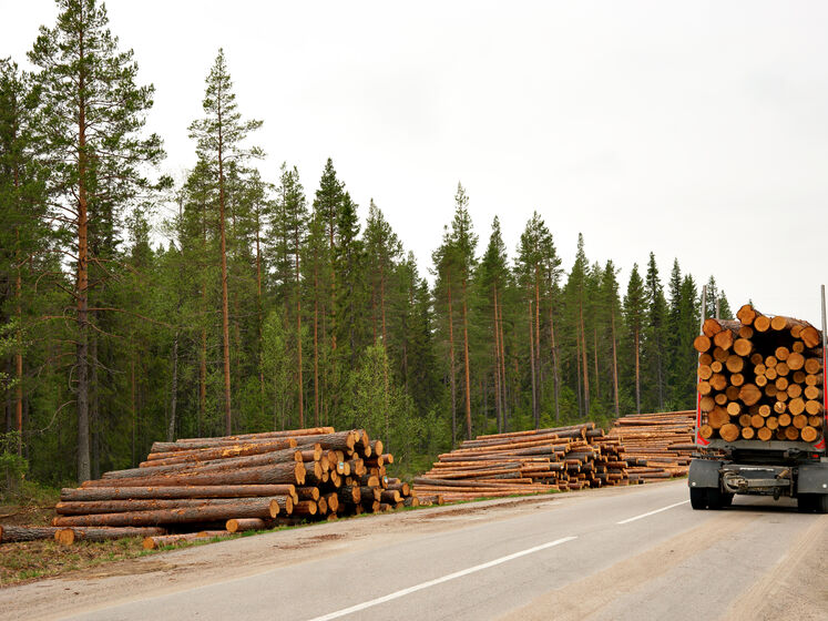 Отмена моратория на экспорт древесины оставит без сырья украинских производителей – Федерация работодателей Украины