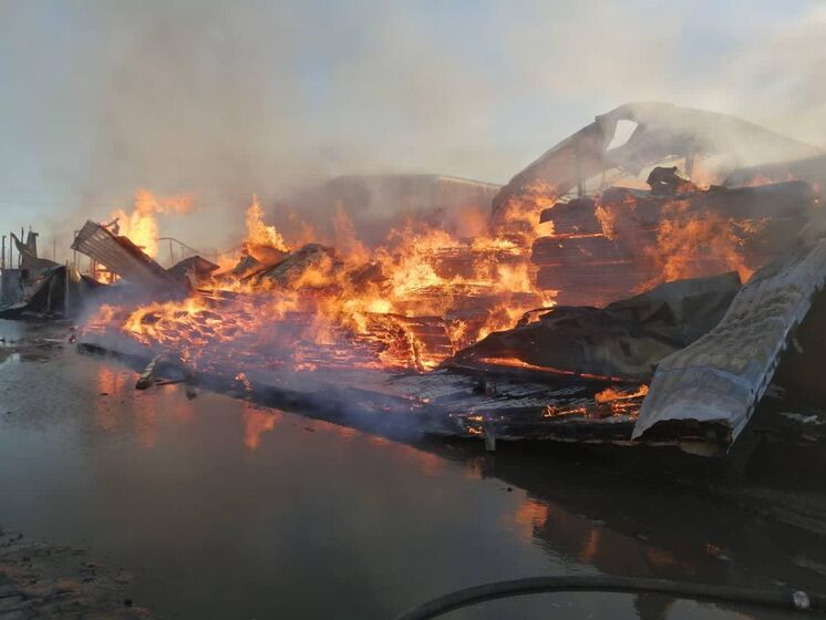 Пожар на пилораме под Киевом тушили более шести часов, огонь охватил 1 тыс. м². Фото, видео