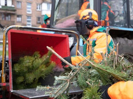 У Києві із 4 січня відкриють 15 пунктів утилізації новорічних ялинок