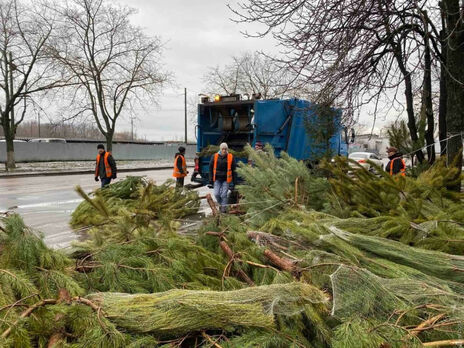 В Одессе продавцы елок бросили на улицах тысячи непроданных деревьев