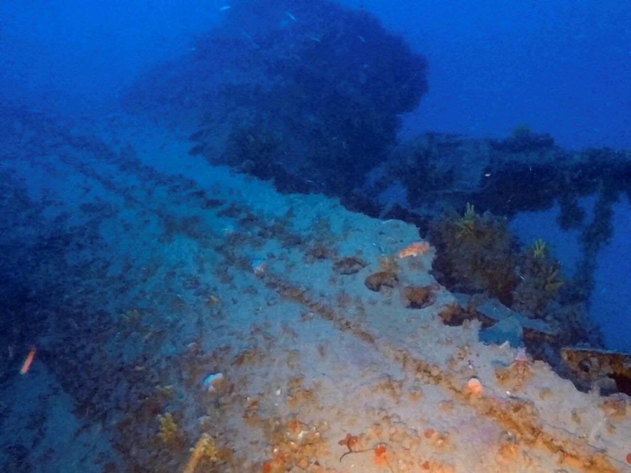 Divers find wreckage of a submarine that sank in the Aegean Sea over 80 years ago