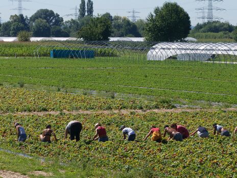 У Польщі спростили працевлаштування громадян з інших країн