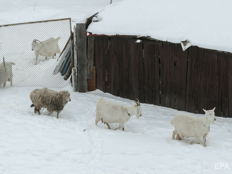 Значительный снег, гололедица. ГСЧС предупредила об ухудшении погоды в Украине