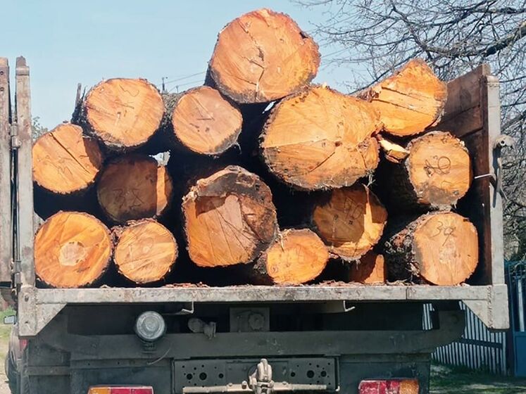 Депутату из Житомирской области грозит 15 лет тюрьмы за незаконный вывоз из Украины древесины на 5 млн грн – полиция