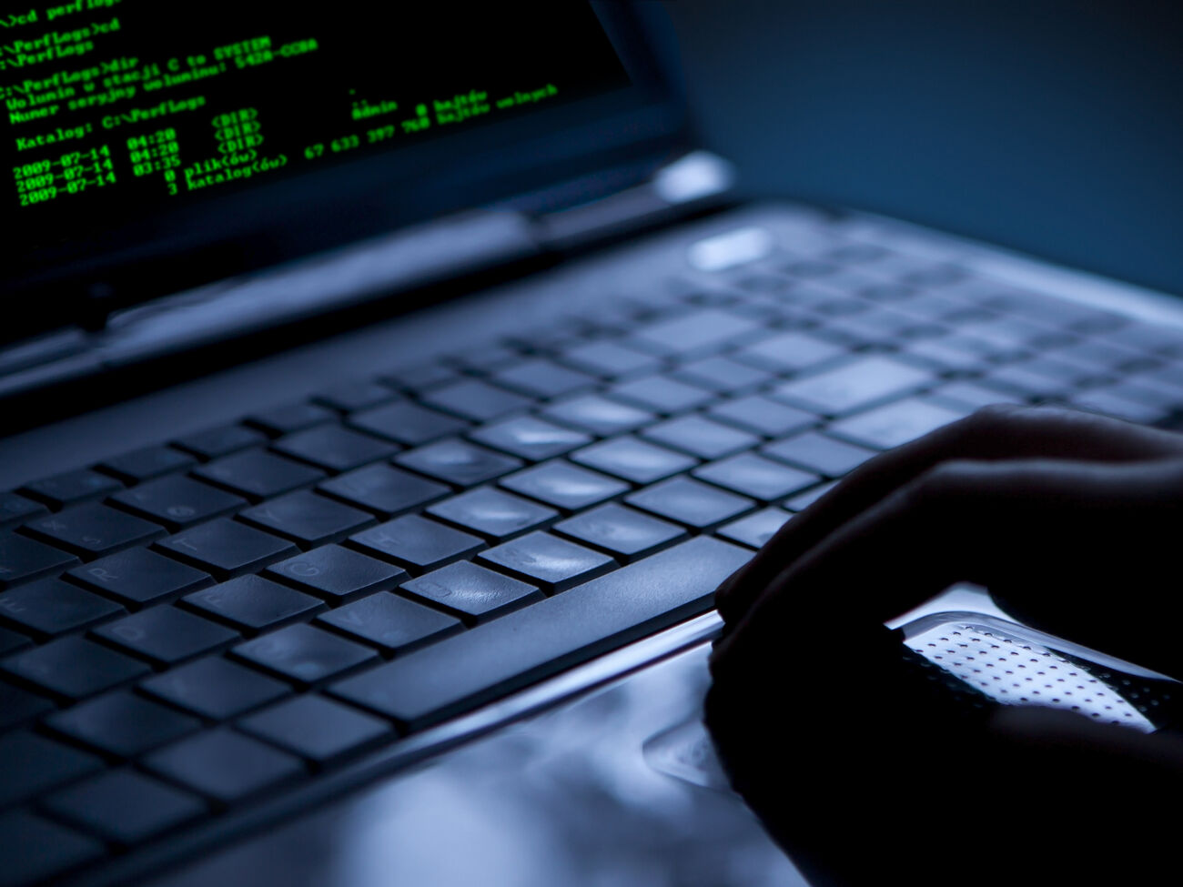 За кибератакой на украинские сайты может стоять Россия, хакеры хотели бросить тень на Польшу – Центр стратегических коммуникаций