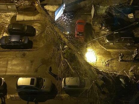 В Киеве ветер повалил массивное дерево и столб на автомобили. Погиб человек, десяток авто повреждены. Фоторепортаж
