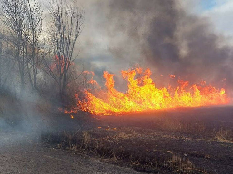 В Одесской области горел национальный природный парк
