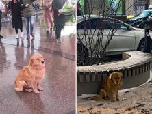 "Даже тут без воровства не могут", "Фейк на фейке". Российское СМИ выдало фото из харьковского паблика за снимки, сделанные в Подмосковье