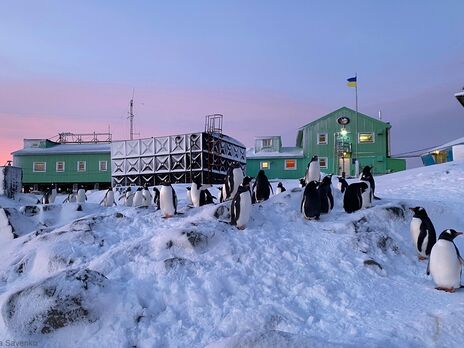 Больше ученых и женщин. В Украине утвердили состав 27-й антарктической экспедиции