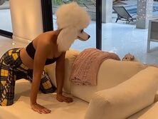 Кіт Кейт Бекінсейл побив її, побачивши поруч із собою в масці пуделя. Відео