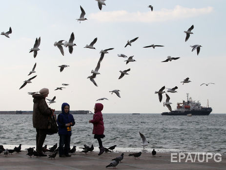 В Севастопольской бухте нашли морскую мину времен Второй мировой войны