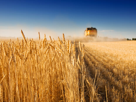 По данным The Observatory of Economic Complexity, Украина является пятым по величине экспортером пшеницы