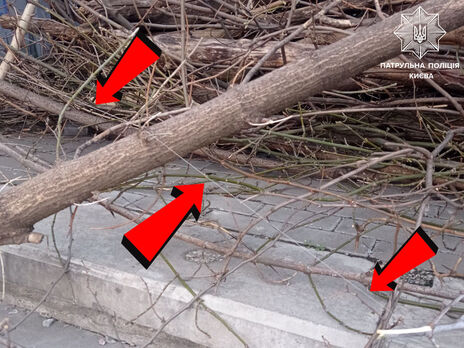 У Києві виявили розтяжку з гранатою, заховану в гілках – поліція