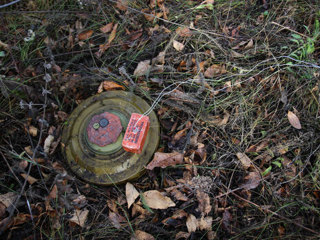 У Чернігівській області сапери продовжують розмінування території, за добу виявлено 531 вибухонебезпечний предмет – ОВА