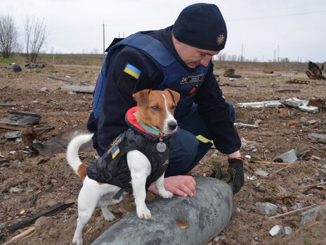 Геращенко: Розмінування України забере роки. Путін і після нашої перемоги й надалі убиватиме людей