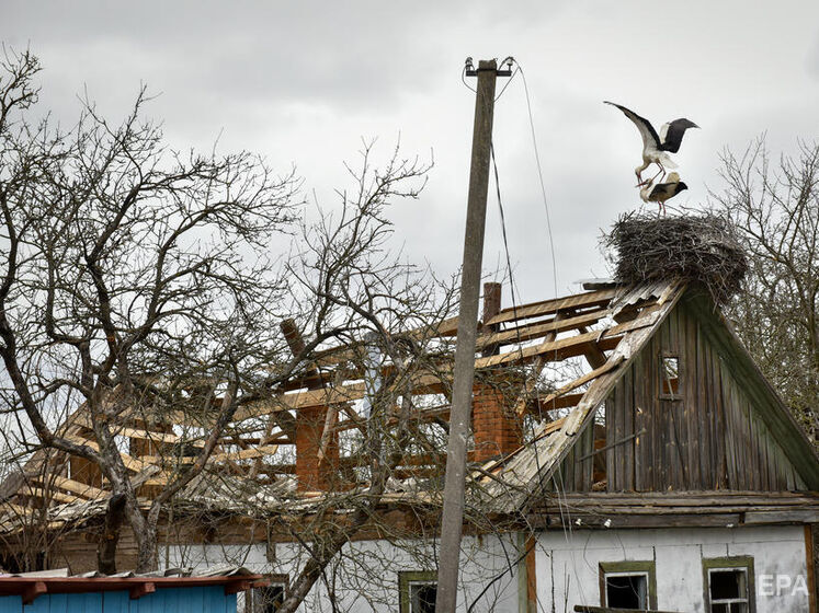 Украинцы подали через "Дію" более 100 тыс. заявок об уничтоженном и поврежденном имуществе