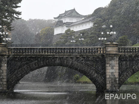 В Токио впервые за полвека в ноябре выпал снег. Фоторепортаж