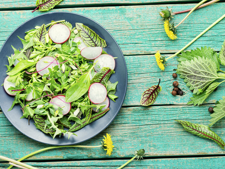 Салат из листьев одуванчиков и молодой крапивы. Рецепт от эксперта