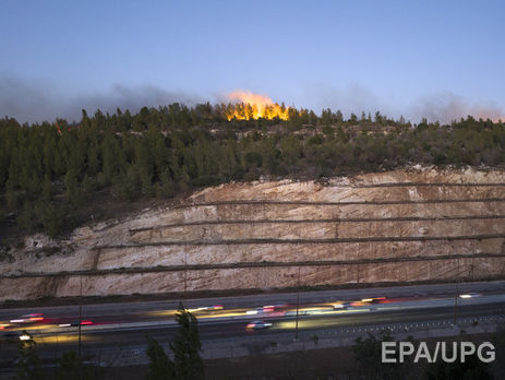 Порошенко поручил направить два украинских самолета для борьбы с пожарами в Хайфе