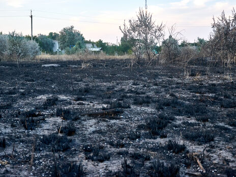 Спасатели напоминают, что в Украине сжигание травы запрещено и наказывается штрафом