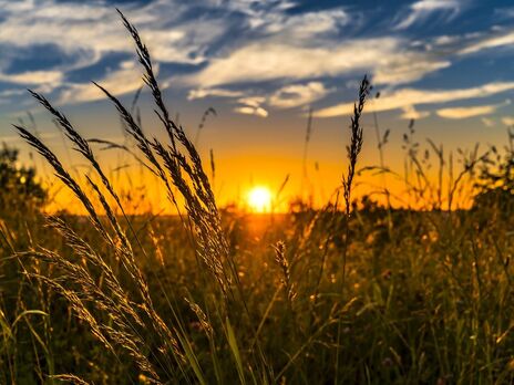 Оккупанты пытаются отобрать у жителей Запорожской области землю – ОГА