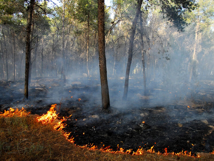 ГСЧС о пожарах в Киевской области: Ситуация остается крайне сложной, но контролируемой