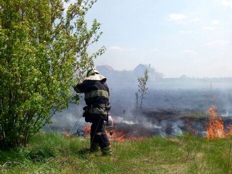 Поблизу Чорнобильської зони відчуження виникла пожежа, ДСНС урятувала місцеву жительку