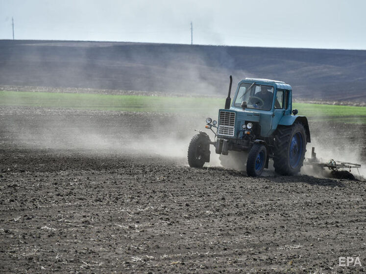 Украина потеряет половину урожая озимой пшеницы из-за военных действий – ООН