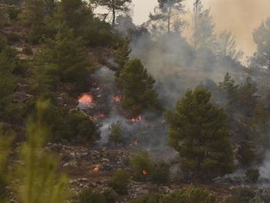 Посол Украины в Израиле сообщил, что пожары в стране ликвидировали, а украинские самолеты сегодня отправятся назад