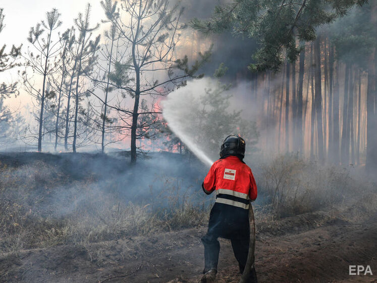 Окупанти знищили понад 17 тис. гектарів лісу в Луганській області, сума збитків – більше ніж 38 млрд грн