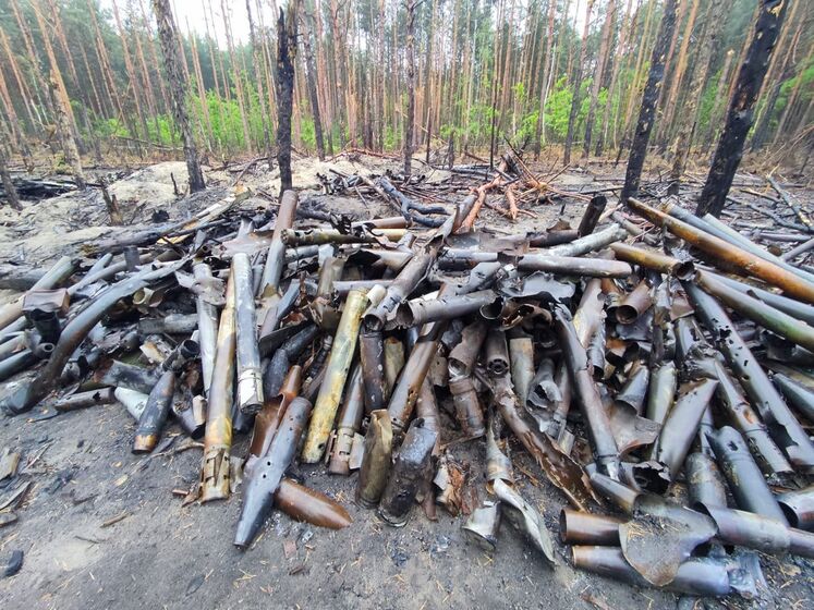 Саперы Нацгвардии обезвредили более 10,5 тыс. взрывоопасных предметов в Киевской области – МВД