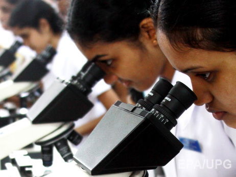 Ученые обнаружили около 1500 новых вирусов