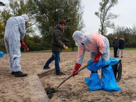 В Нидерландах из-за птичьего гриппа уничтожили 190 тысяч уток