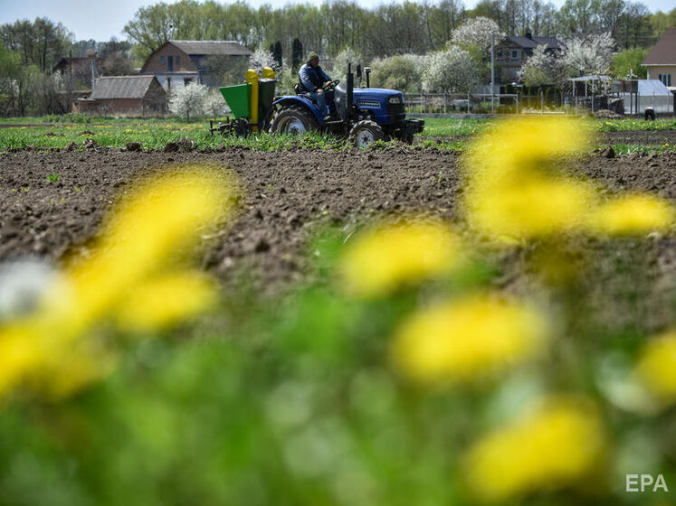 Мінагрополітики: В Україні посіяли ярої пшениці більше, ніж рік тому, решти культур – менше