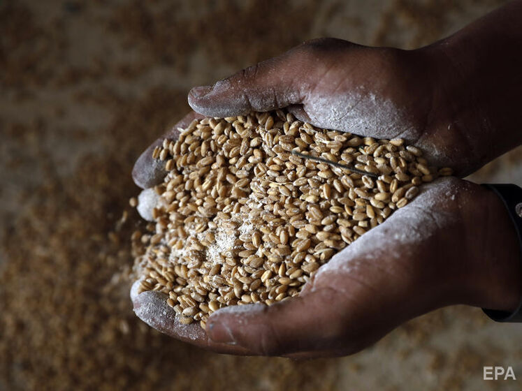 NYT: США розіслали листи 14 країнам із попередженням не купувати крадене в Україні зерно