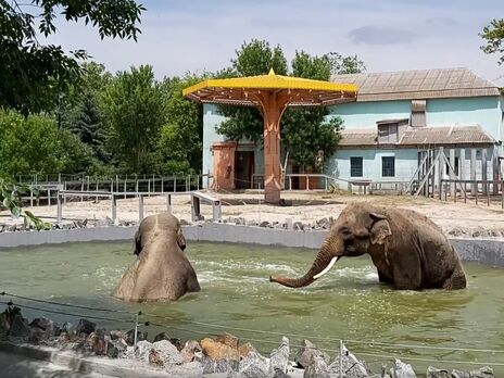 Николаевский зоопарк впервые после начала вторжения возобновляет работу 